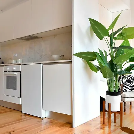 Liiiving In | Aliados Design Apartment *
